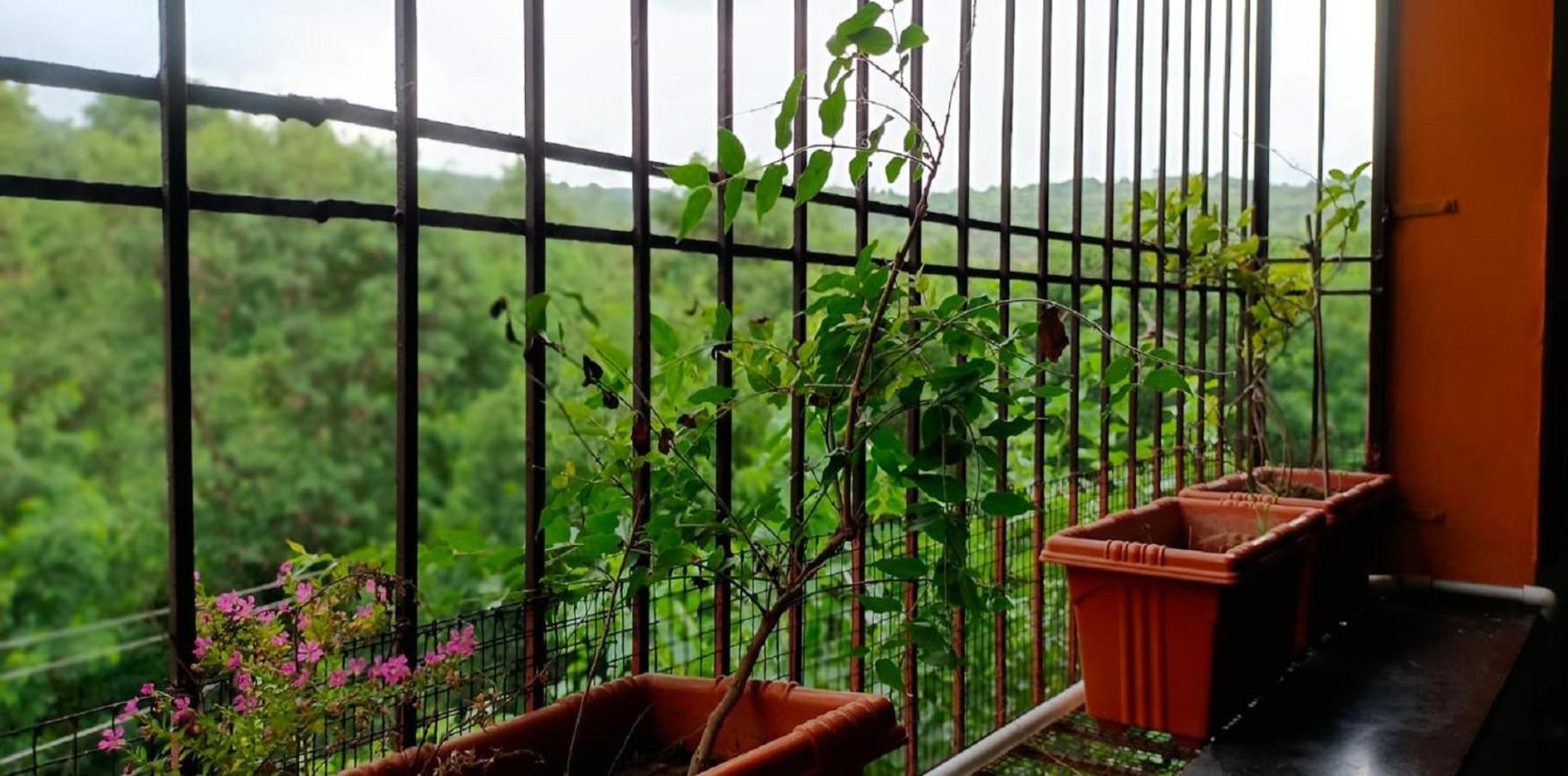 Villa Abhayanand Agro Tourism Ellora Esterno foto
